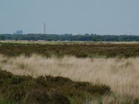 NL, Noord-Brabant, Goirle, Regte Heide, flats Tilburg 1, Saxifraga-Willem van Kruijsbergen